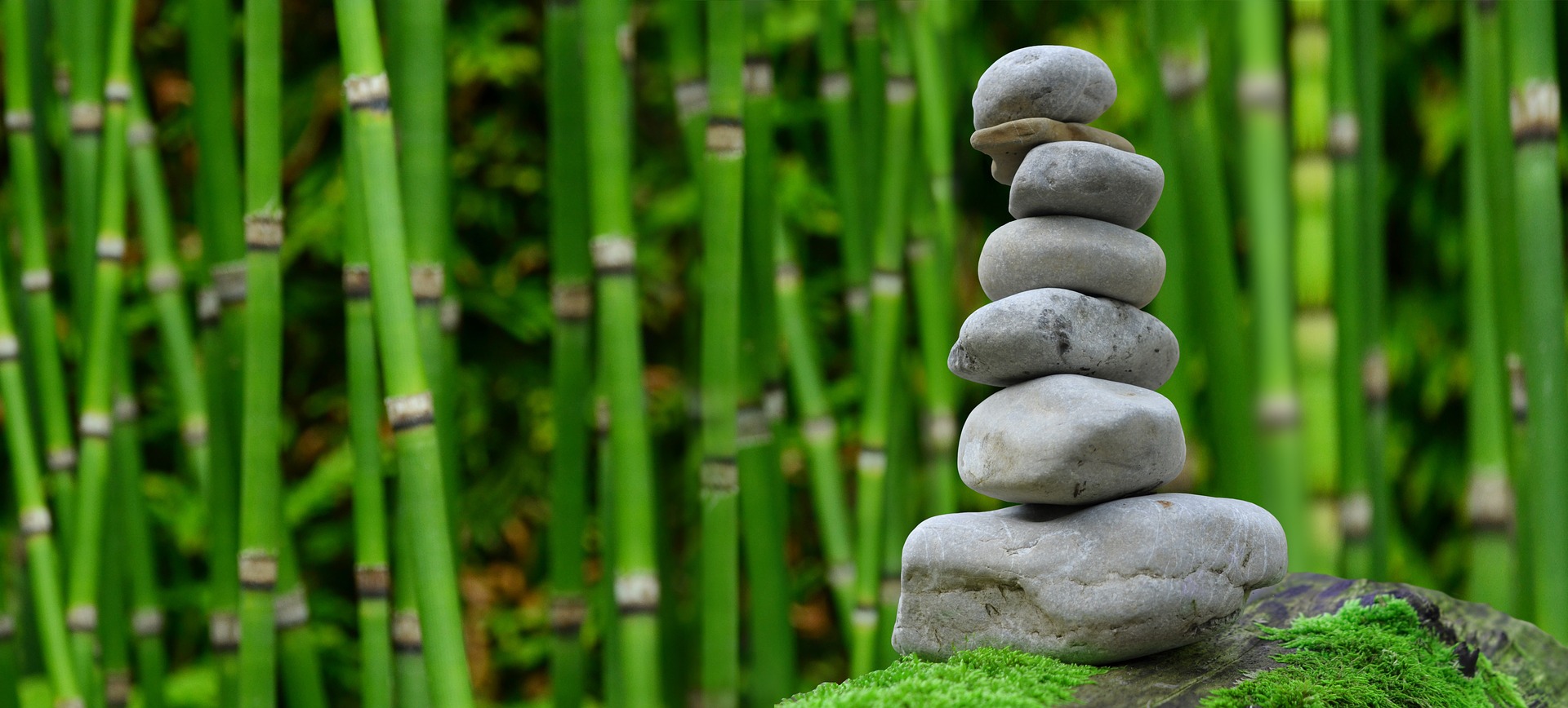 formation coaching de vie photo4